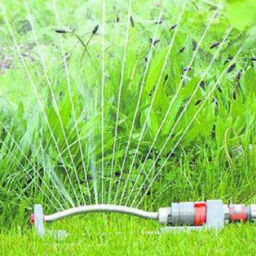 Bewässern verboten - Der Rasensprinkler muss diesen Frühling im Schopf bleiben. Bild: pixabay