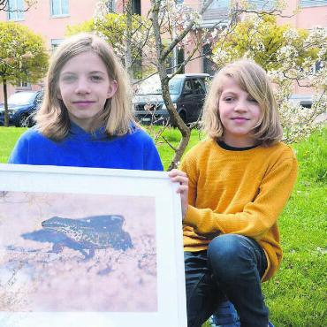 Aus Sorge um die Natur - Der 13-jährige Sandu Umbescheidt und sein 11-jähriger Bruder Mo verfügen über ein umfangreiches Wissen über die Tierwelt. In Sarmenstorf stellen die beiden Jungs aus dem Rombachtäli dies anhand von Fotografien ihres Vaters unter Beweis, wie mit dieser Aufnahme eines Fadenmolchs. Bild: Chregi Hansen