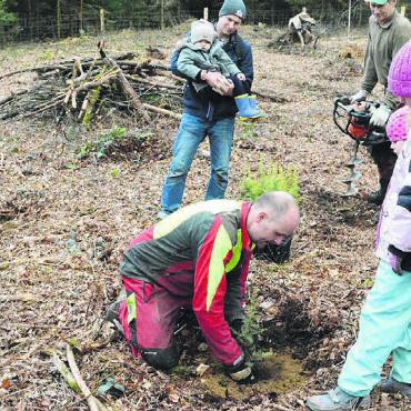 Einsatz für die Natur - Revierförster Oliver Eichenberger erklärt, wie die Bäumchen richtig zu setzen sind. Bilder: Celeste Blanc