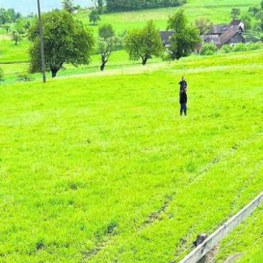 Stillstand im Wiesland - Nachdem die Automobilistin eingeschlafen war, fuhr sie 30 Meter in eine Wiese, ehe sie zum Stillstand kam. Bild: pz