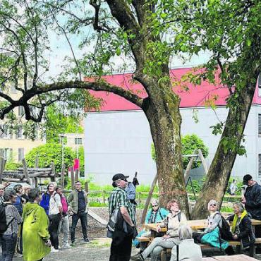 Eintauchen in die Welt der Bäume - Der Bleichi-Spielplatz ist ein beliebter Treffpunkt. Er ist gleichzeitig ein Baum- und Vogelparadies.