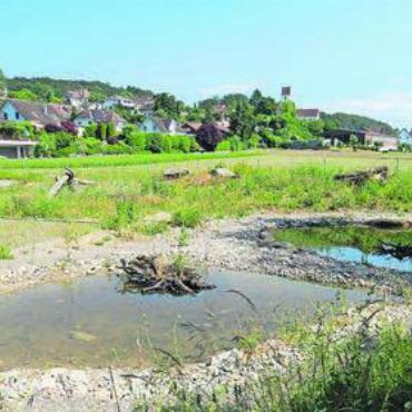 Erfreuliche Entwicklung - Das Naturschutzprojekt auf dem Areal der ehemaligen Kläranlage kann als gelungen gewertet werden. Bild: zg