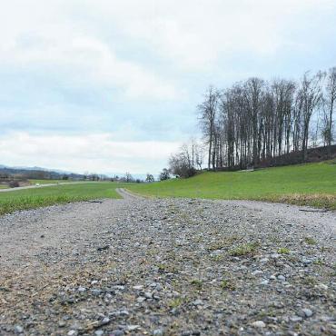 Noch ist ein langer Weg zu gehen - Hier soll einst das saubere Aushubmaterial deponiert werden, in der «Höll» auf Boswiler und Kallerer Gemeindegebiet. Bild: Archiv
