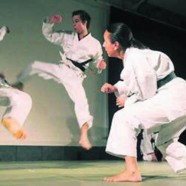 Martial Arts Supershows - Kampfsport ist gesund und stärkt die Life Balance. Bild: zg