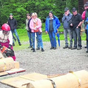 So spannend kann Wald sein - Forstwart Marco Schriber demonstriert sein Können im Umgang mit der Kettensäge. Bilder: Susanne Schild / zg