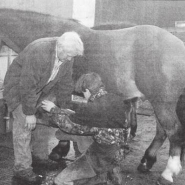 «Schuhwechsel» für Neuhof-Pferde - Hans Meier hält den Fuss und Thomas Müller verrichtet seine Arbeit. Bild: Archiv