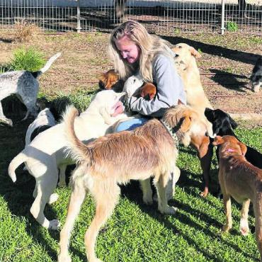 Auf den Hund gekommen - Den ganzen Tag sind Hunde um die junge Waltenschwilerin. Sie geniesst das. Bilder: zg