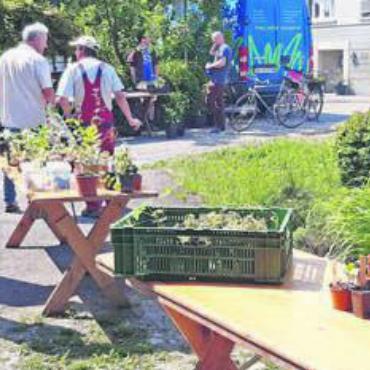 Setzlinge tauschen - Impressionen vom Setzlingstauschmarkt von letztem Jahr. Nun folgt die zweite Auflage. Bild: zg