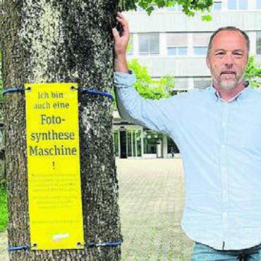 Bäume sind wichtig - Auf Initiative von Patrik Stocker: Baumplakate vermitteln viel Wissenswertes.