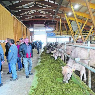 Hightech im Kuhstall - Unbeeindruckt von den Besuchern lassen es sich die Kühe schmecken. Sie fühlen sich wohl im Stall. Bilder: Susanne Schild