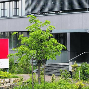 In Zukunft noch alle vier Jahre - Die IBW erhält vom Parlament gute Noten für ihre Energiepolitik.
