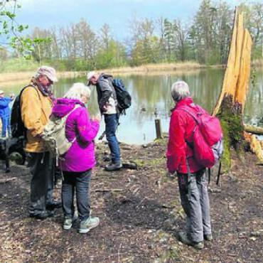 Unterwegs im Freiamt - Die Teilnehmenden genossen die Wanderung sehr. Bild: zg