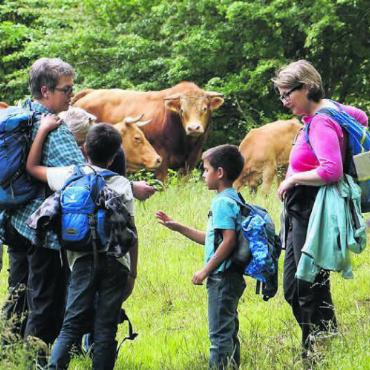 1. Freiämter Wandertag - Am 1. Freiämter Wandertag kann man die Natur entdecken und sich mit wanderbegeisterten Menschen austauschen. Bild: zg