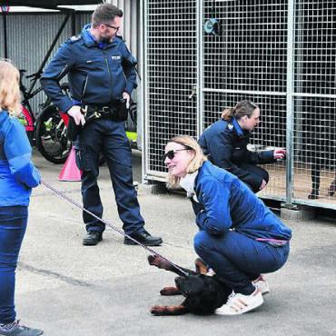 Gemeinschaftswerk an Top-Lage - Der Zwinger für den Polizeihund war beliebter Treffpunkt am Besuchstag.
