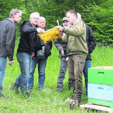 So spannend kann Wald sein - Imker Philipp Heller weiss, wie man mit Bienen umgehen muss.