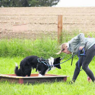 Gemeinsam stark - Der lebhafte einjährige Border Collie Quizz und seine junge Besitzerin Saskia Zoller sind unterdessen ein eingespieltes Team.