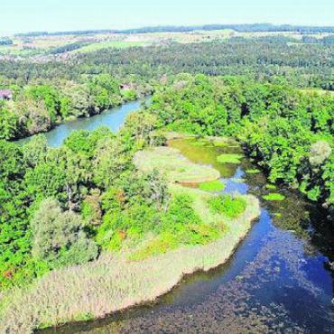 Schlammsauger für die Fische - Der ehemalige Flussarm «Stille Reuss» ist ein Auengebiet und Flachmoor von nationaler Bedeutung.