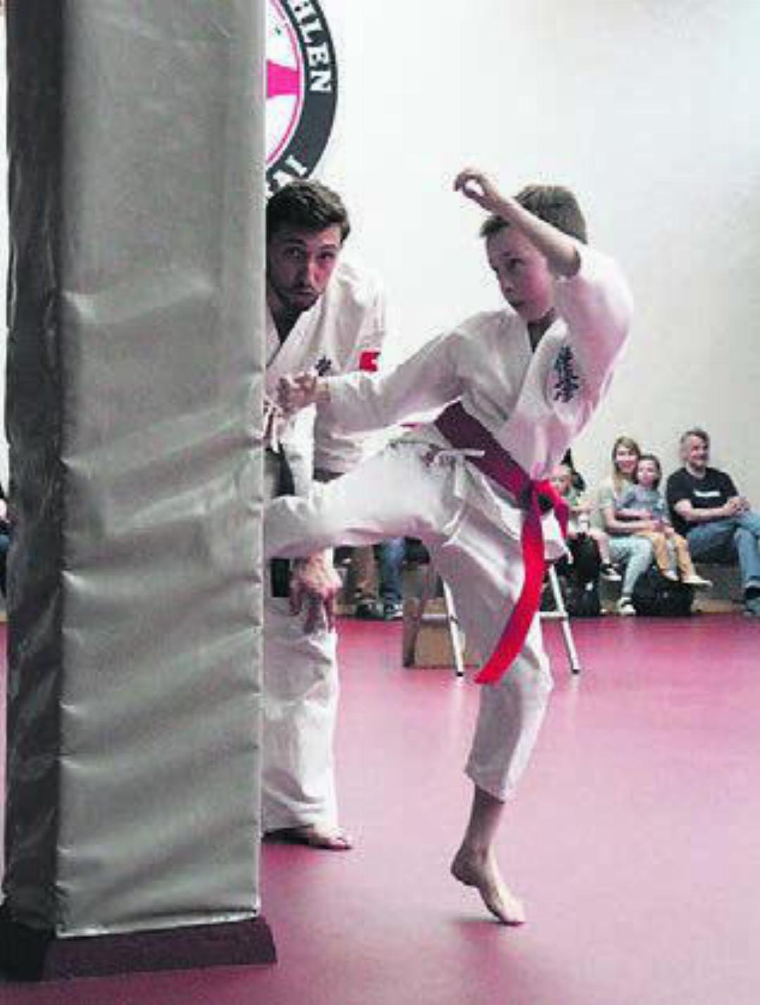 Karatekas von Jung bis Alt präsentierten ihre Fähigkeiten. Bild: jl