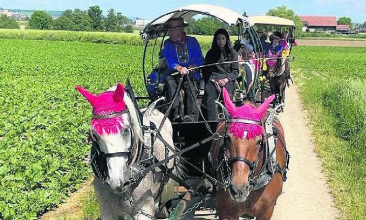 Ausflug mit Pferd und Wagen vom Integra-Sitz in Wohlen zum Murimoos und wieder zurück. Bild: zg