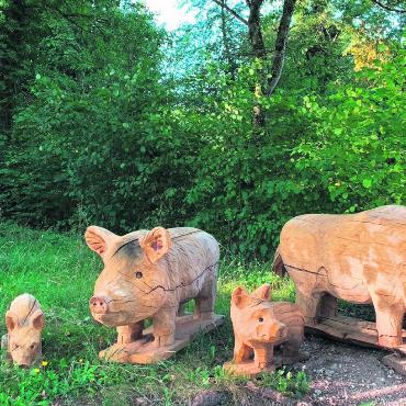 LESERFOTO - Gesehen im Wald in Kaisten: wunderschön geschnitzte Wildschwein-Familie. Leserfoto: Margrit Freudemann, Kaisten