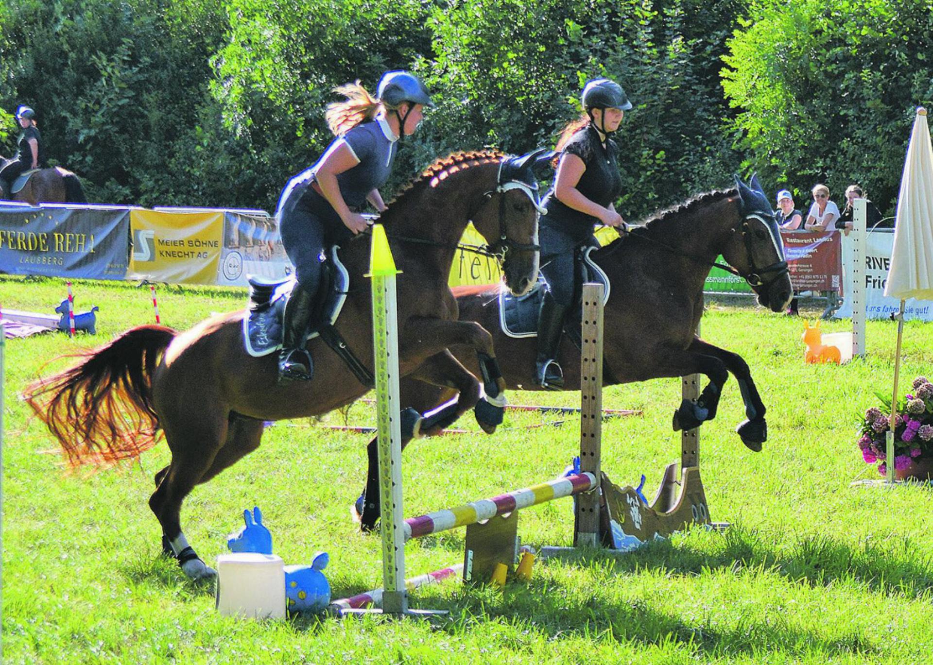 Pferd und Reiter zeigten ihr Können