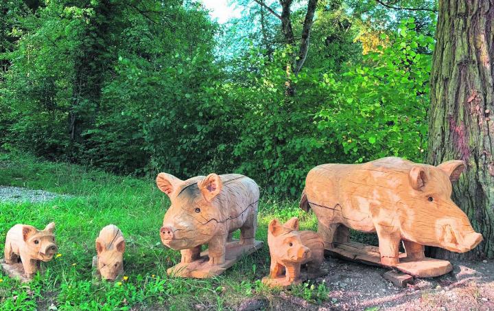 Gesehen im Wald in Kaisten: wunderschön geschnitzte Wildschwein-Familie. Leserfoto: Margrit Freudemann, Kaisten