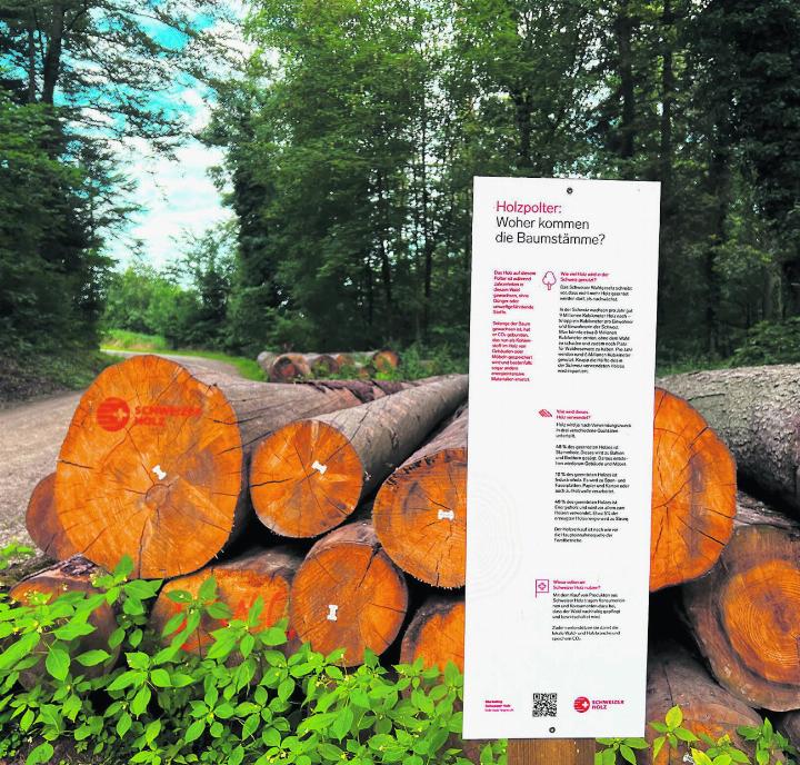 Schweizer Holz erklärt die Holzbewirtschaftung. Fotos: Susanne Hörth