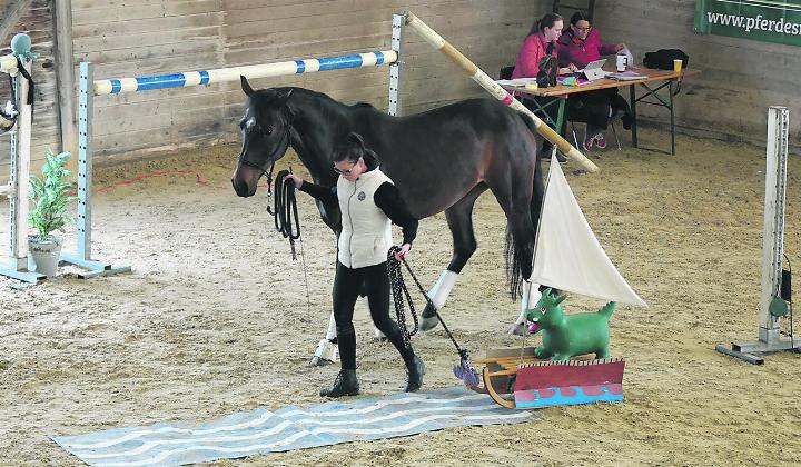 Auf das Zusammenspiel zwischen Mensch und Pferd kam es an. Foto: zVg