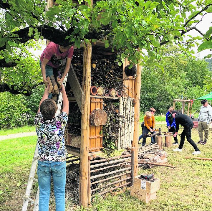 Eine ganze Woche lang halfen Schulkinder vom Kindergarten bis zur ersten Oberstufe mit, den Lebensturm zu befüllen. Foto: sir