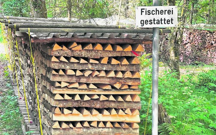 In Wallbach wird auch im Wald gefischt! Foto: Walter Herzog