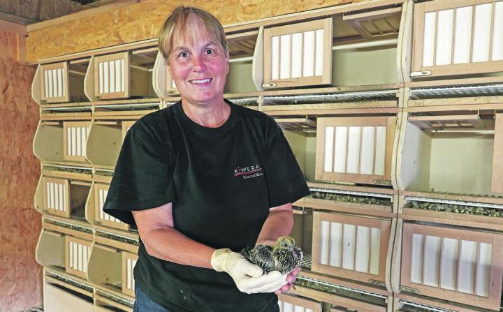 «Sie bekommen optimales Futter und werden regelmässig geimpft sowie entwurmt», schildert Claudia Rüfenacht. Auf dem Bild zeigt sie eine wenige Wochen alte Taube. Foto: Valentin Zumsteg