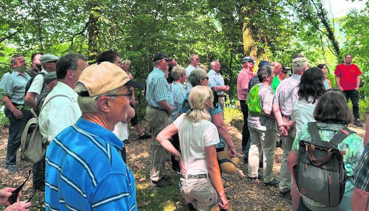 Die Rheinfelder Ortsbürger liessen sich die Besonderheiten «ihres» Waldes in Wallbach erklären. Foto: Walter Herzog