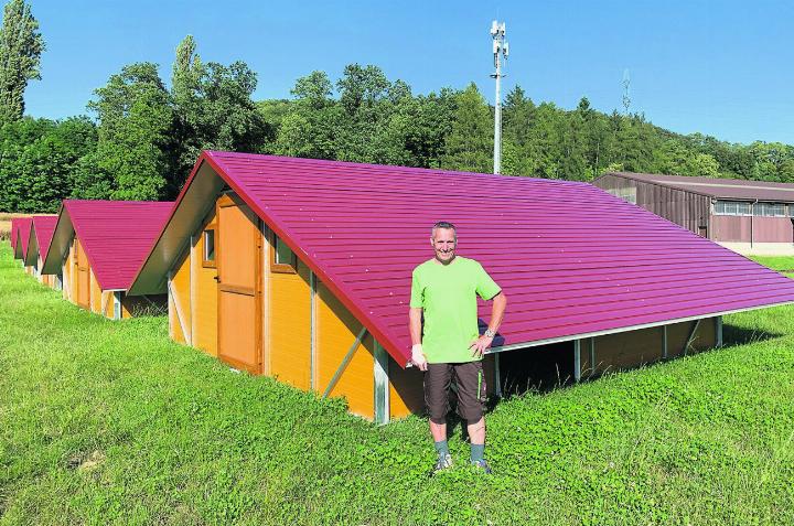 Der Eiker Landwirt Lukas Liechti vor seinen sechs Ställen. Ab Mitte August werden Mast-Hühner das Gelände neben der Reitanlage bevölkern. Foto: Simone Rufli