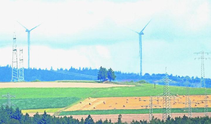 Die Windräder auf dem Giessbacher Kopf werden über die Baumgrenzen hinausragen und bis in die Schweiz zu sehen sein. Das Bild ist auf dem Klingnauer Hönger aufgenommen. Foto: Alfred Zimmermann