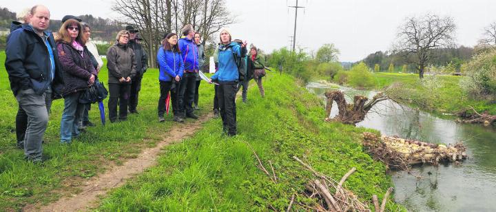 Gegen die Monotonie im Bach