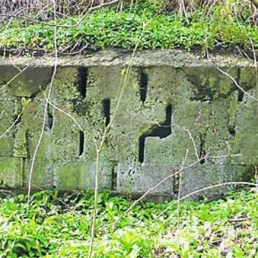Aus dem Zweiten Weltkrieg - Die Bunkeranlage im Gebiet Matte ist stark überwuchert.