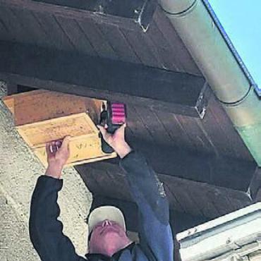 Dank Einsatz der Schule - Gemeindewerkarbeiter Peter Koch montierte die Nistkästen unter dem Schulhausdach. Bild: zg