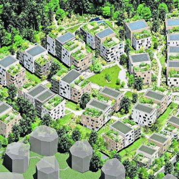 Neues Rudolfstetter «Waldviertel»? - Der Islerenwald soll das neue grüne Quartier durchwachsen. Bilder: Hans Rechsteiner / zg