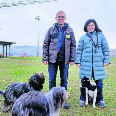 Trainingsplatz gesucht - Das Vereinsgelände geht verloren. Bild: huy