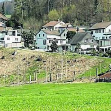 Geländeriegel wird geschlossen - Wo heute das Grundwasserpumpwerk (gelb) steht, werden die zehn Terrassenhäuser eine Baulücke schliessen.