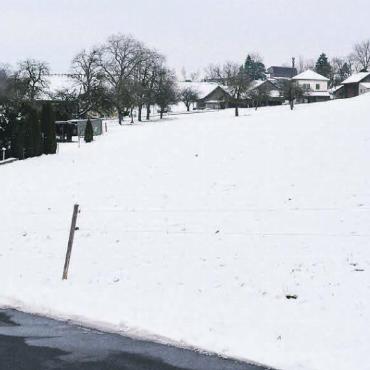 Gestaltungsplan «Gubel» liegt auf - Auf dieser freien Fläche in Richtung Oberwil-Lieli sollen einst acht Wohnhäuser mit einer attraktiven Durchgrünung stehen. Bild: Roger Wetli