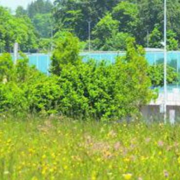Solidarität leben - Der Gemeinderat von Oberwil-Lieli beantragt, ein abgerundetes Steuerprozent an den Betrieb des Sportzentrums Burkertsmatt zu zahlen. Bild: rwi