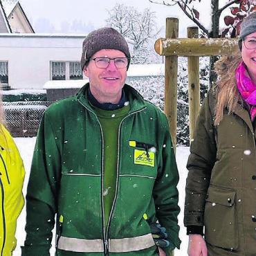 Schatten kann Leben retten - Im Schneetreiben und vor einer frisch gepflanzten Rotbuche: (v. l.) Brigitte Bänninger, Marc Erni und Nadine Baur. Bilder: Walter Minder