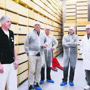 Mit voller Kraft voraus - Betriebsleiter Hansruedi Zgraggen (links) zeigt, wo der Käse gelagert wird.