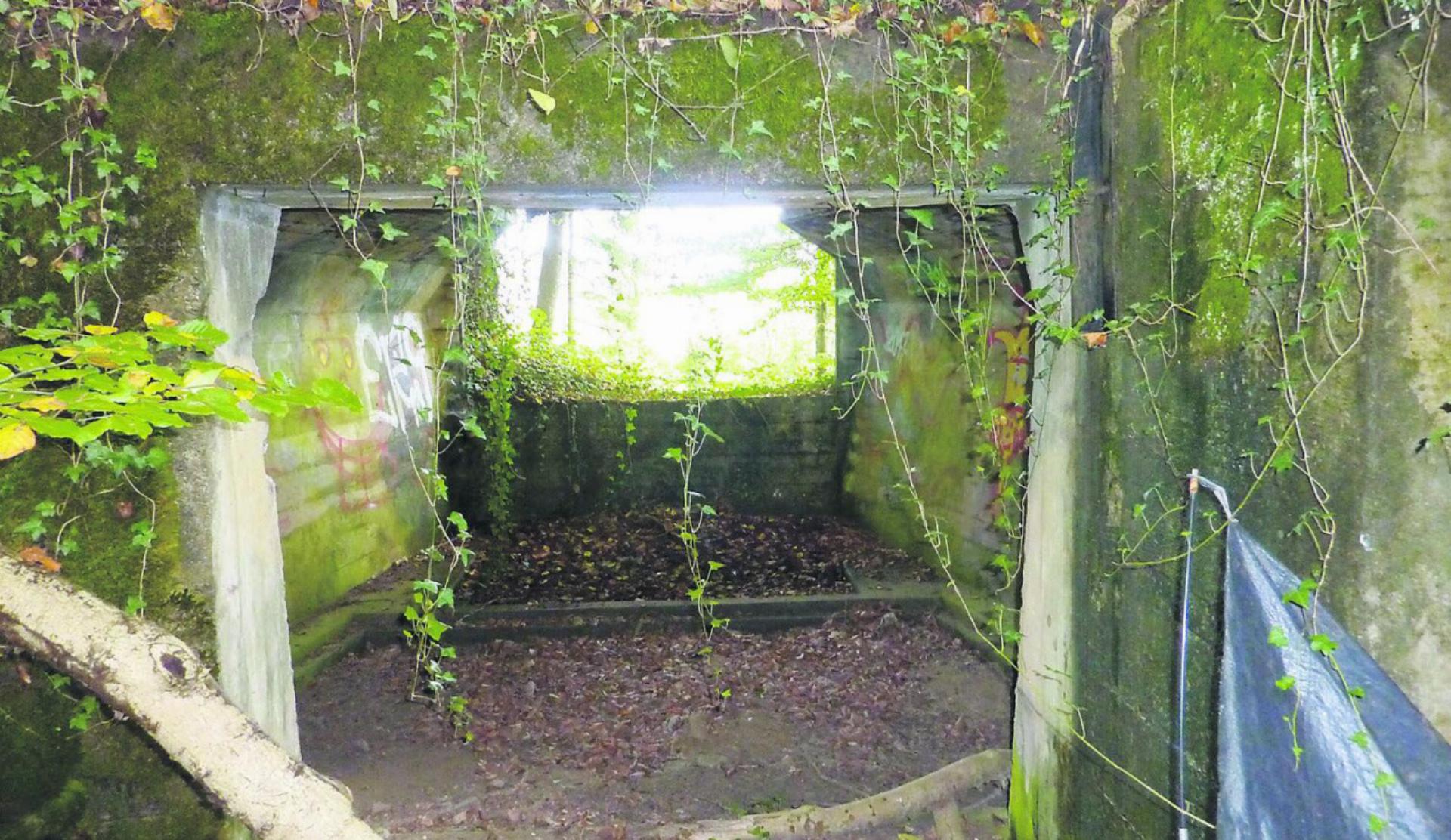 Diese Bunkeranlage gehört zu den erhaltenen Überresten der «Limmatstellung» in Berikon und ist im Waldgebiet Näsple zu finden. Bilder: zg