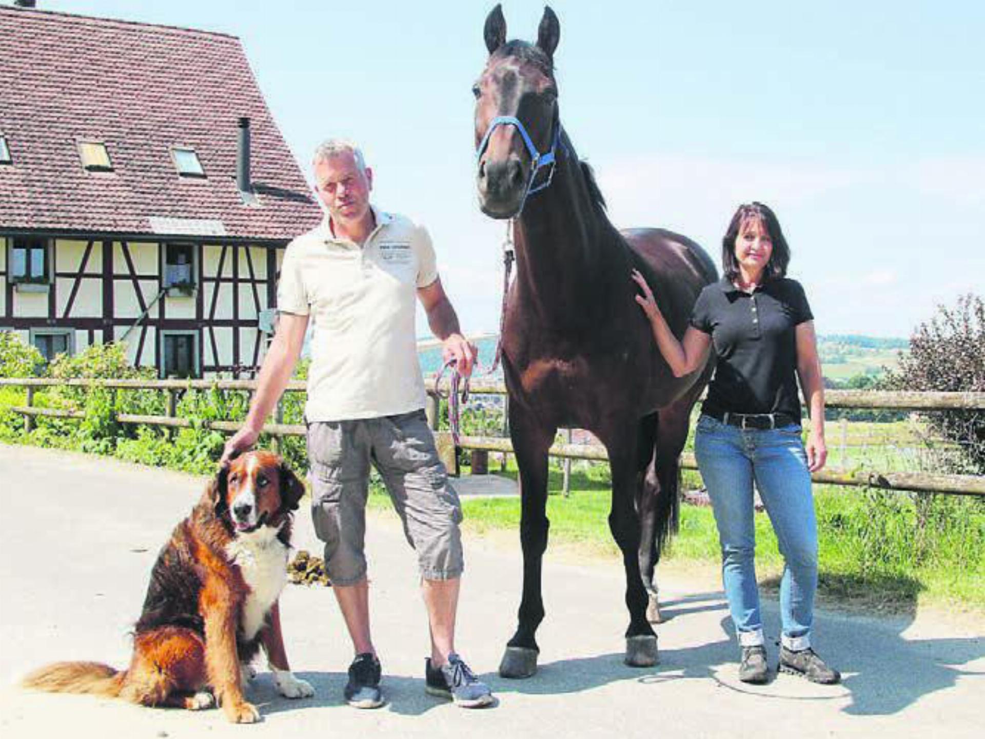 Freuen sich auf die Springkonkurrenz (von links): OK-Chef Markus Schädeli, sein Pferd Diva und OK-Chefin Corinne Schramm Bild: Josip Lasic
