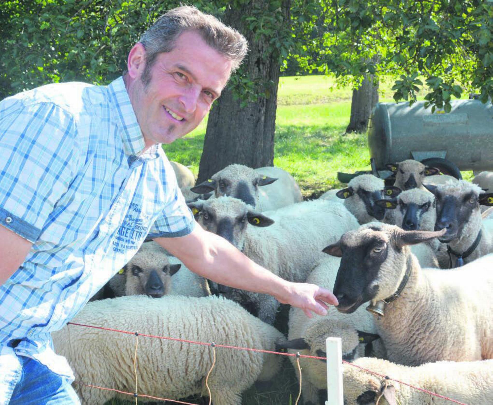 Gemeinderat Roland Belser ist stellvertretender Werkhofleiter in Bergdietikon und Landwirt. Er hält unter anderem Schafe. «Das entspannt mich», erklärt er. Bild: Roger Wetli