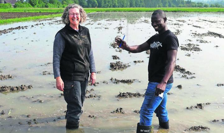 Zwei, die sich verstehen. Helen Suter und Justin Bigirimana tauschen auf dem Reisfeld in Mühlau Erfahrungen aus. Bild: Susanne Schild
