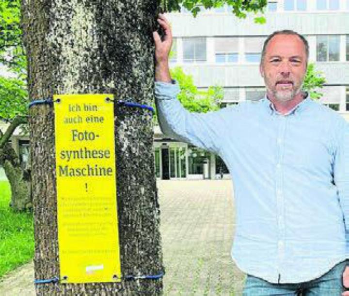 Auf Initiative von Patrik Stocker: Baumplakate vermitteln viel Wissenswertes.