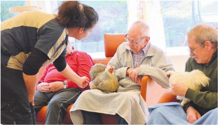 Tierpflegerin Cornelia Trinkl bringt Mensch und Tier zusammen. Auch der weisse Hahn Napoleon geniesst die Streicheleinheiten. Bild: Sabrina Salm